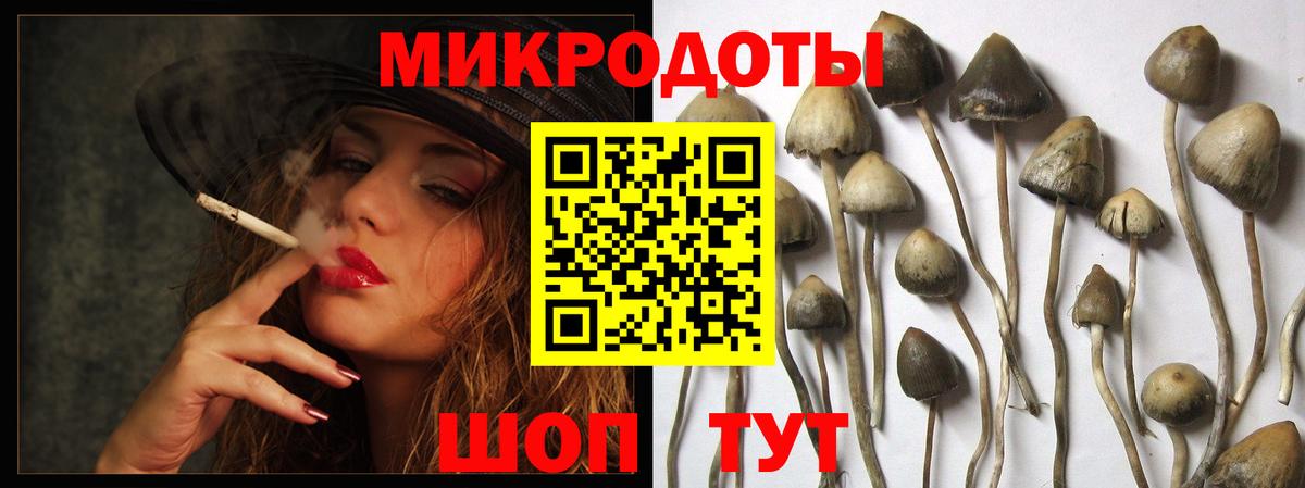 Псилоцибиновые грибы мицелий Полевской
